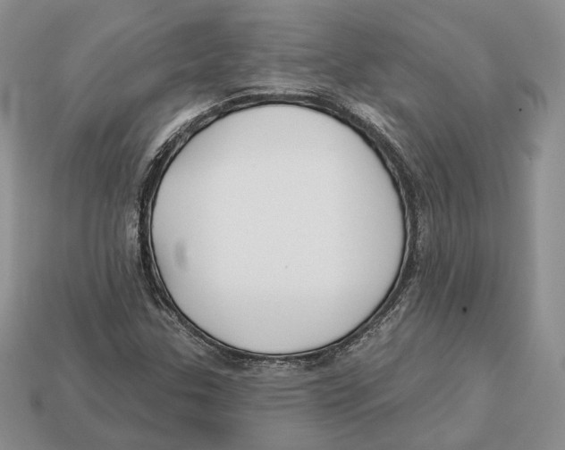 X0000112941307200909211125