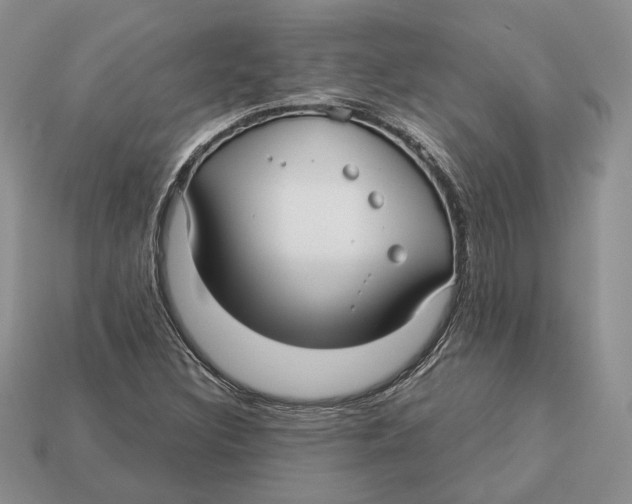 X0000112941308200909211125