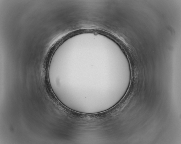 X0000112941311200909211126