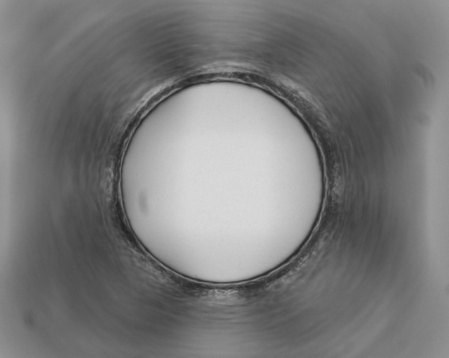 X0000112941313200909211126