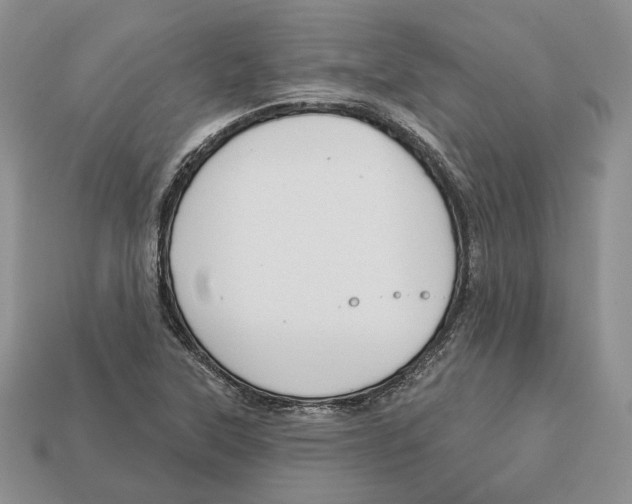 X0000112941315200909211126