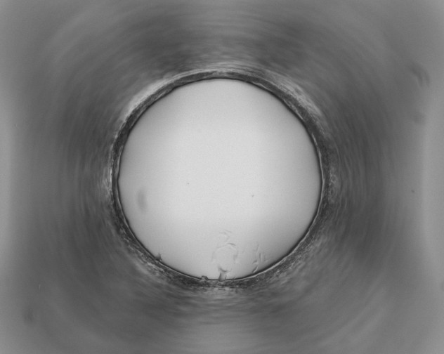X0000112941316200909211126