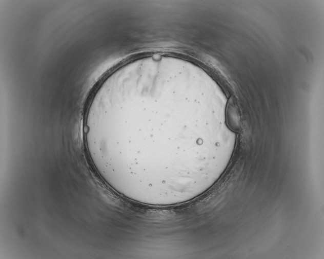 X0000112941320200909211126