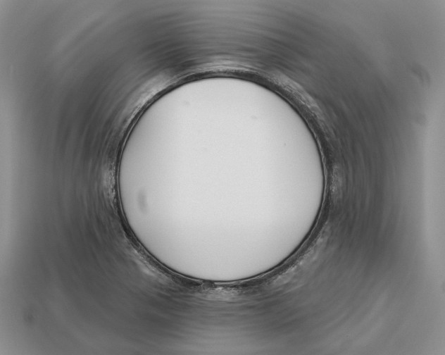X0000112941321200909211126
