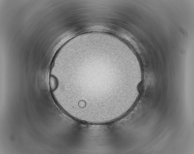 X0000112941322200909211126