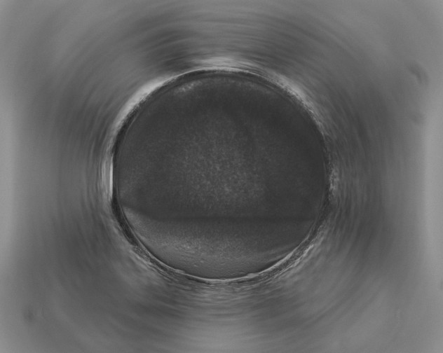 X0000112941323200909211126