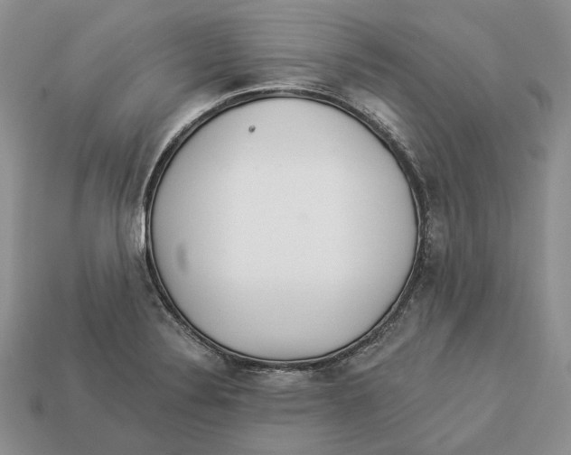 X0000112941324200909211126