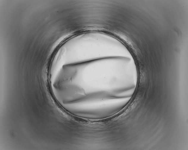 X0000112941325200909211126
