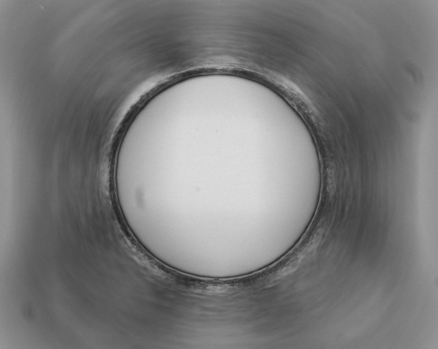 X0000112941326200909211126
