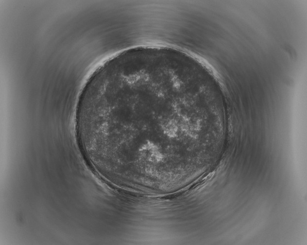 X0000112941327200909211126