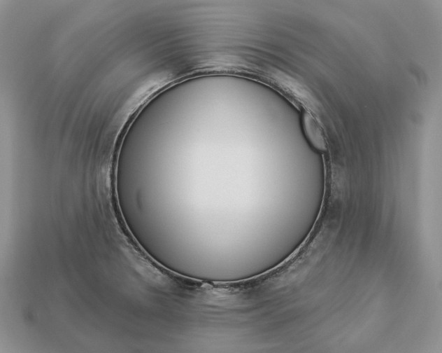 X0000112941330200909211126