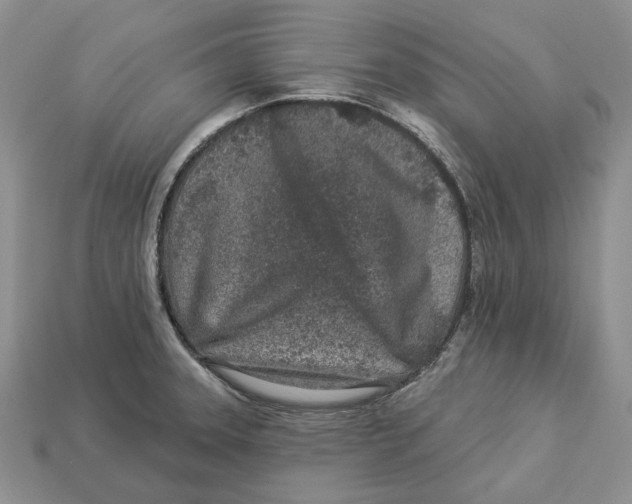 X0000112941331200909211126