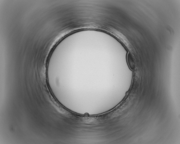 X0000112941332200909211126