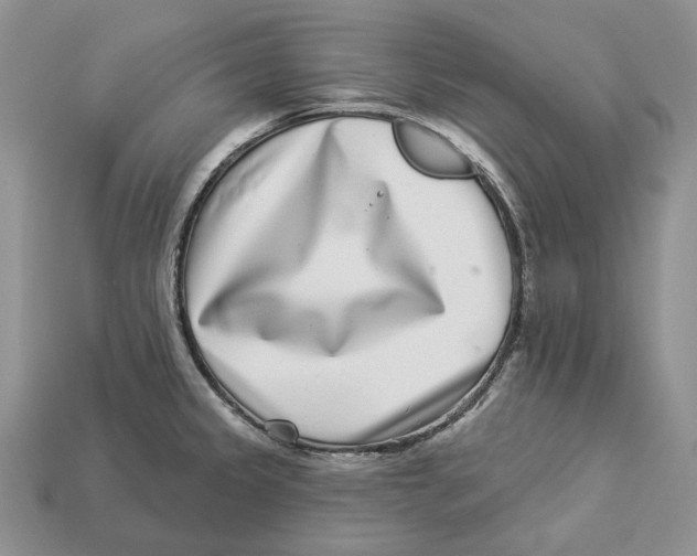 X0000112941333200909211126