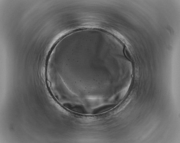 X0000112941334200909211126