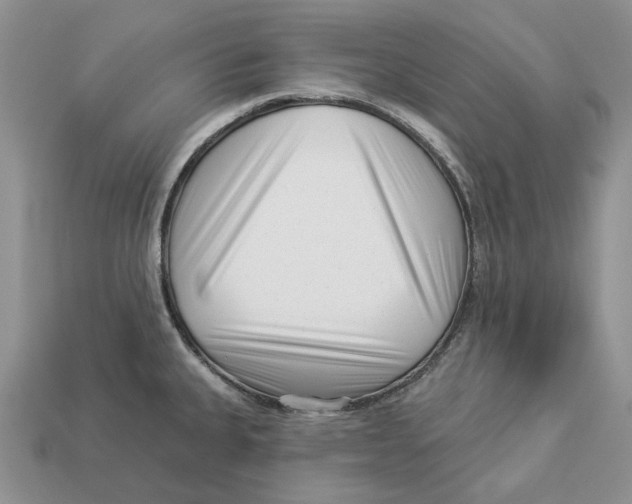 X0000112941335200909211126