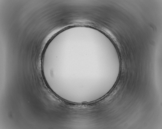 X0000112941336200909211126