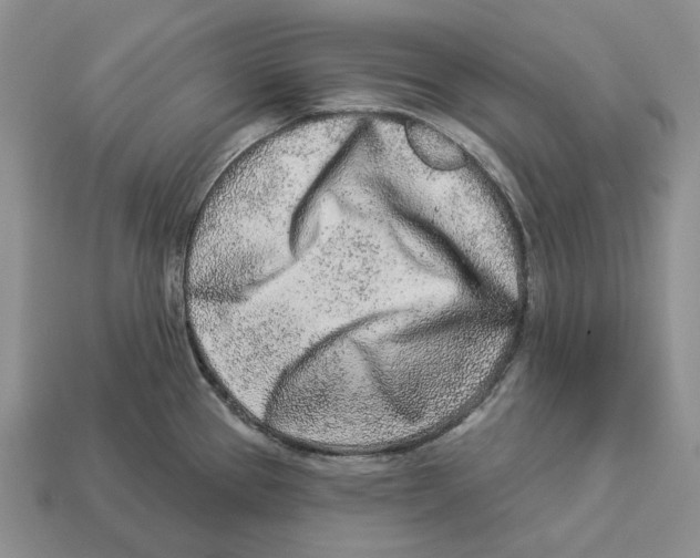 X0000112941337200909211126
