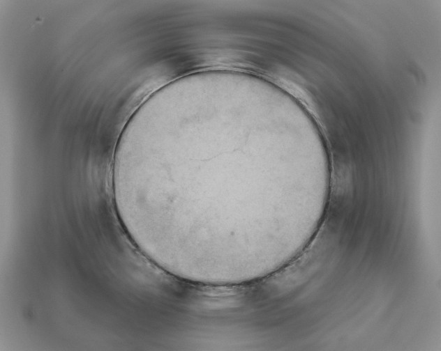 X0000112941338200909211126