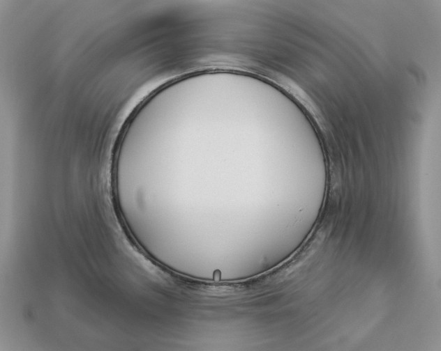 X0000112941339200909211126