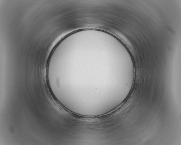 X0000112941340200909211126
