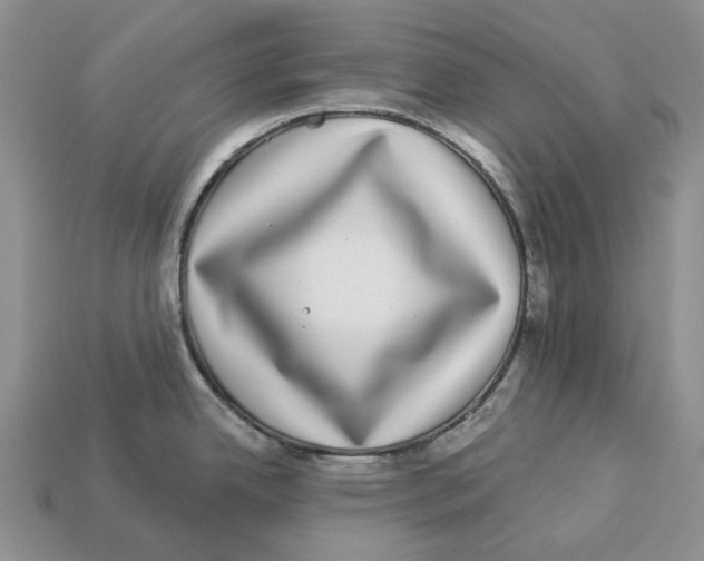 X0000112941342200909211126