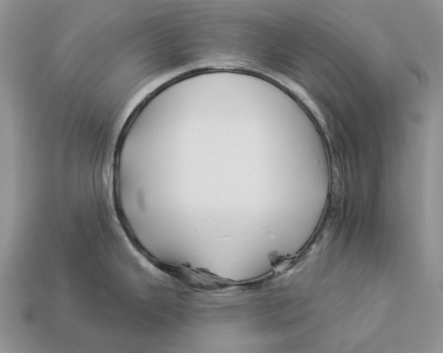 X0000112941343200909211126