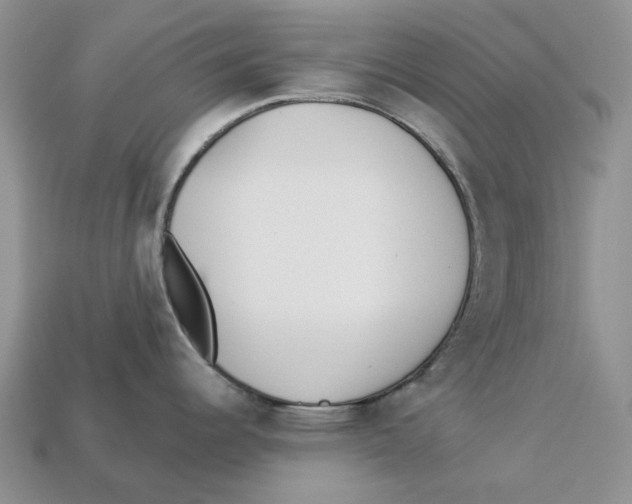 X0000112941344200909211126
