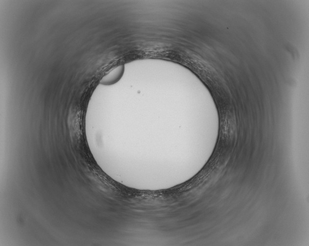 X0000112941346200909211125