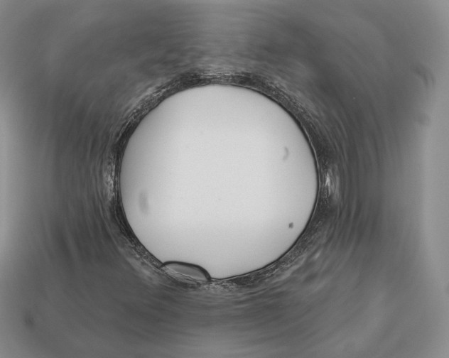 X0000112941348200909211125