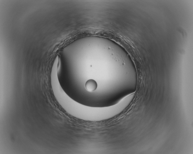 X0000112941349200909211125