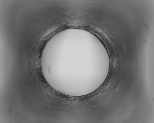 X0000112941350200909211125