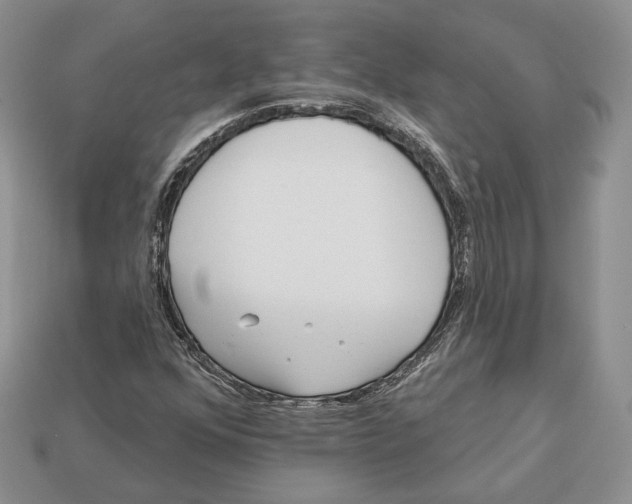 X0000112941352200909211125