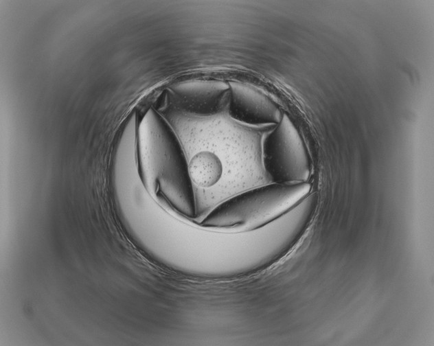 X0000112941353200909211125