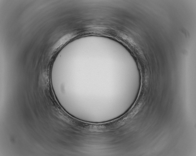 X0000112941354200909211125