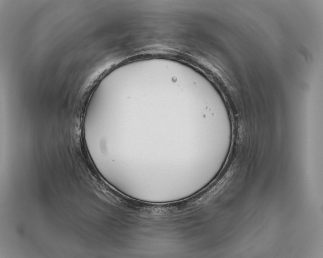 X0000112941355200909211125
