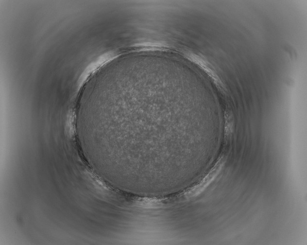 X0000112941357200909211125
