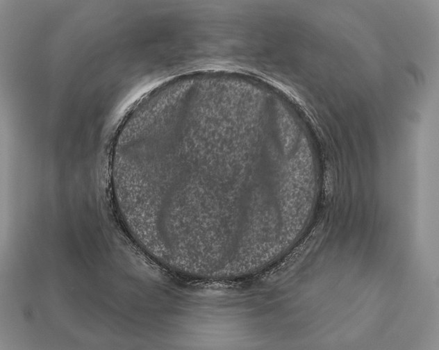 X0000112941359200909211125