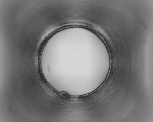 X0000112941360200909211125