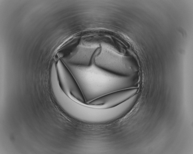 X0000112941361200909211125