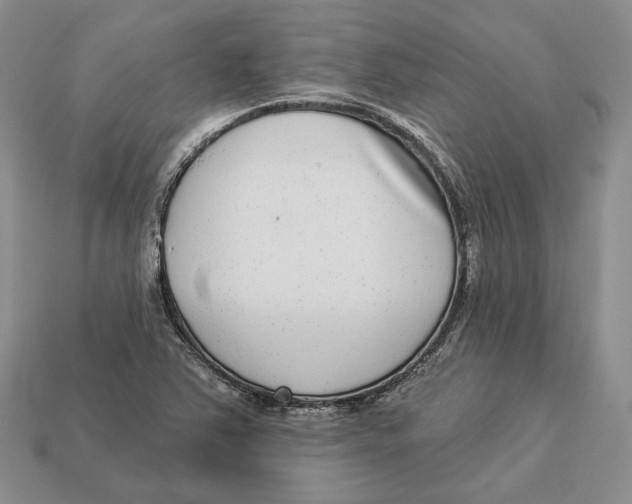 X0000112941363200909211125