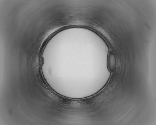 X0000112941364200909211125