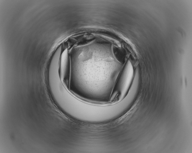 X0000112941365200909211125
