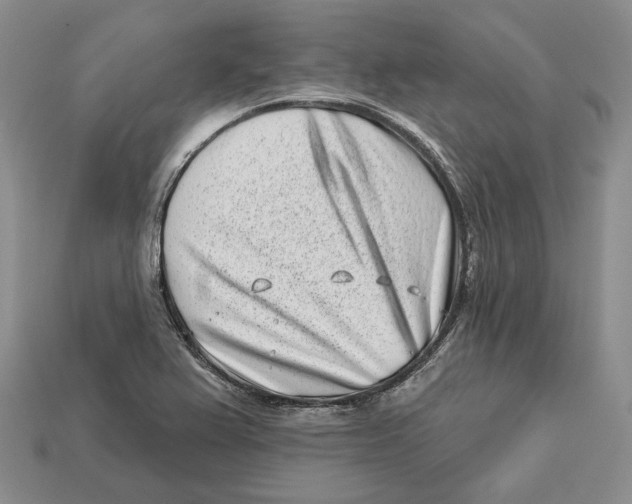 X0000112941367200909211125