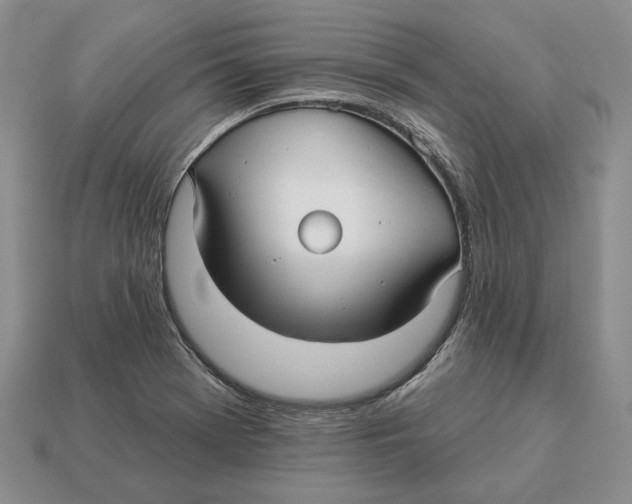 X0000112941369200909211125