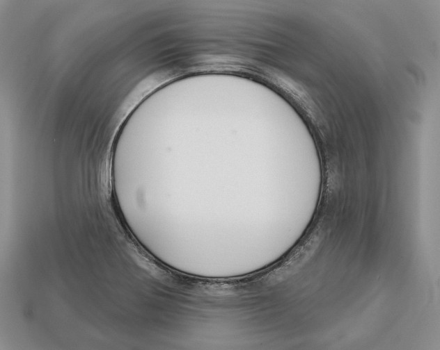 X0000112941370200909211125