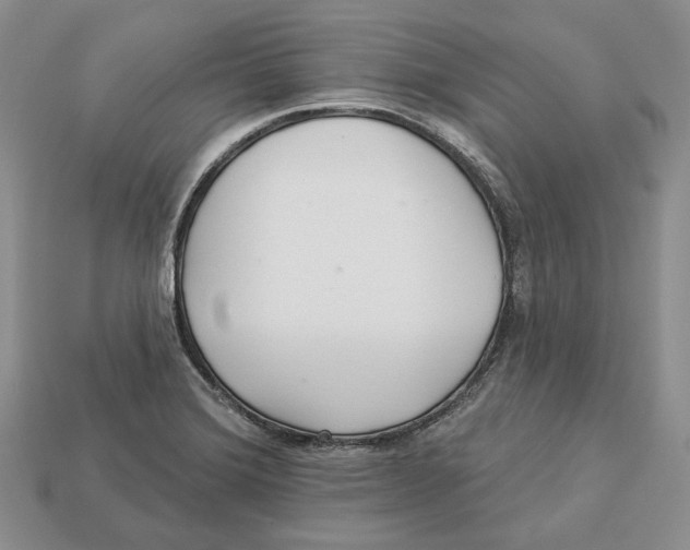 X0000112941372200909211125