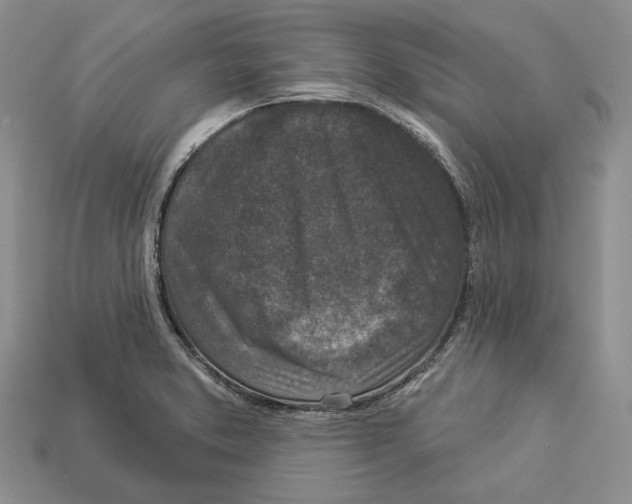 X0000112941373200909211125