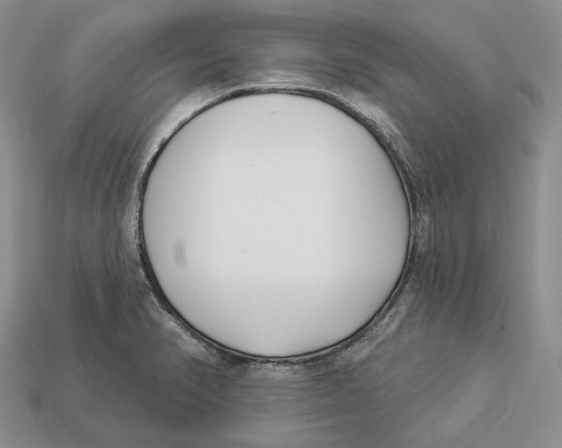 X0000112941374200909211125