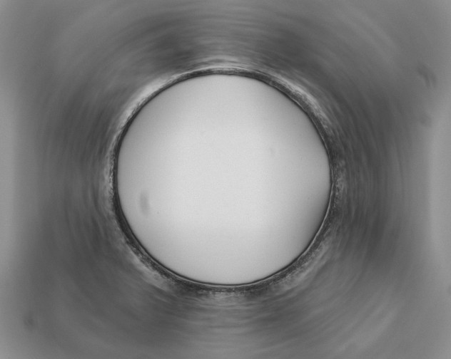X0000112941375200909211125